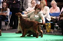 Crufts2011 597